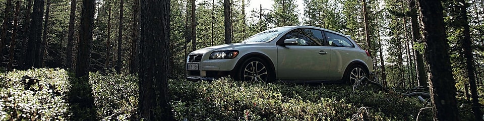 Coche en la carretera forestal